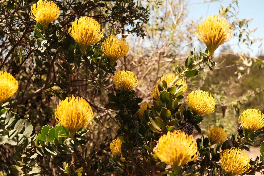 0 Bedroom Property for Sale in Estuary Heights Western Cape